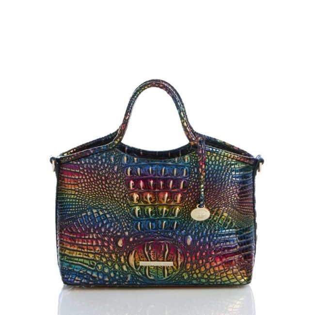 Brahmin | Women's Small Elaine Technicolor Melbourne | Quick Ship!
