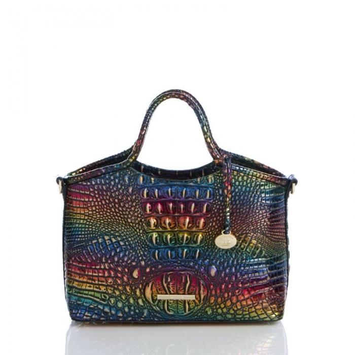 Brahmin | Women's Small Elaine Technicolor Melbourne | Quick Ship!