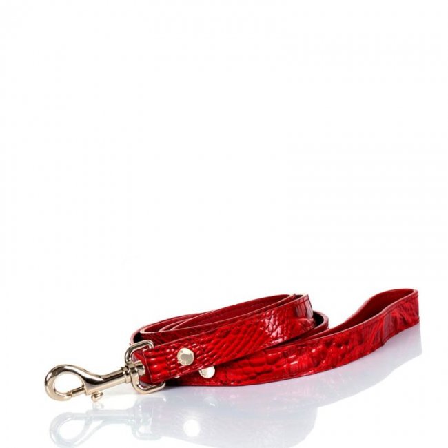 Brahmin | Women's Large Pet Leash Carnation Melbourne | Quick Ship!