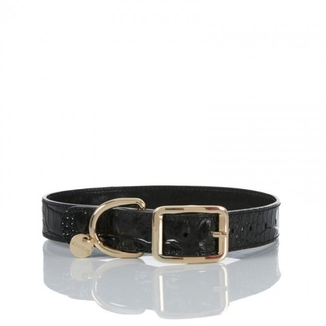 Brahmin | Women's Large Pet Collar Black Melbourne | Quick Ship!