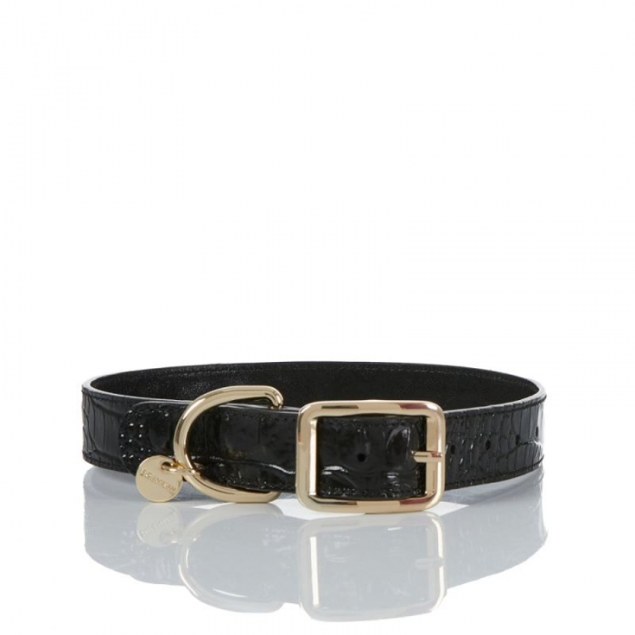 Brahmin | Women's Large Pet Collar Black Melbourne | Quick Ship!
