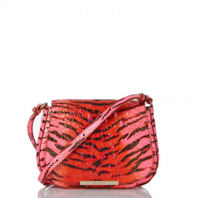 Brahmin | Women's Small Nadine Pink Feline Ombre Melbourne | Quick Ship!