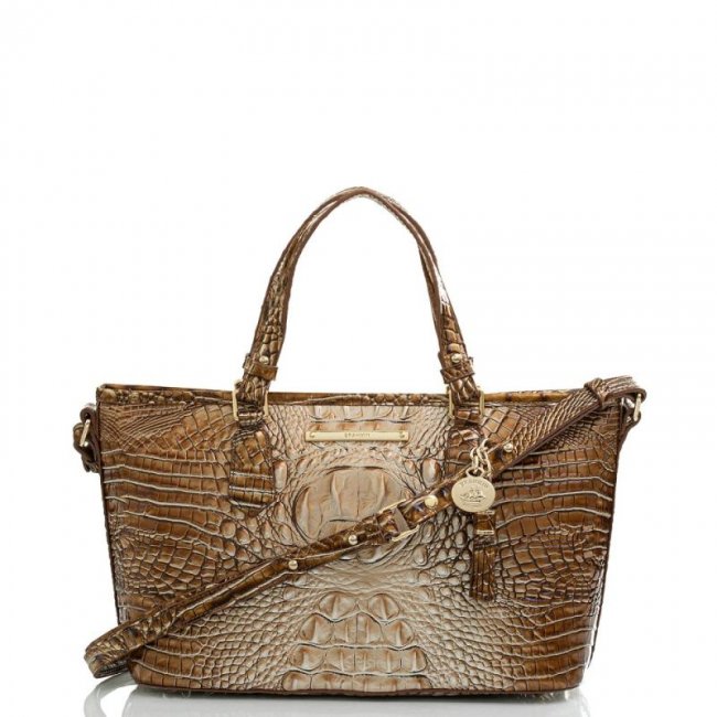 Brahmin | Women's Mini Asher Cappuccino Ombre Melbourne | Quick Ship!