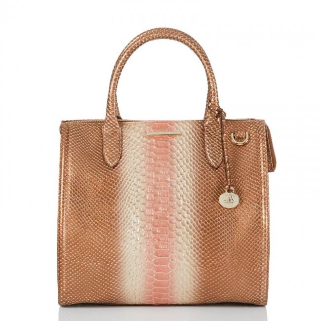 Brahmin | Women's Caroline Natural CocoBay | Quick Ship!