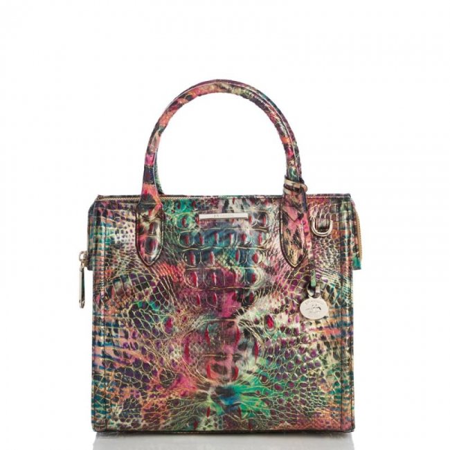 Brahmin | Women's Small Caroline Shapeshifter Melbourne | Quick Ship!