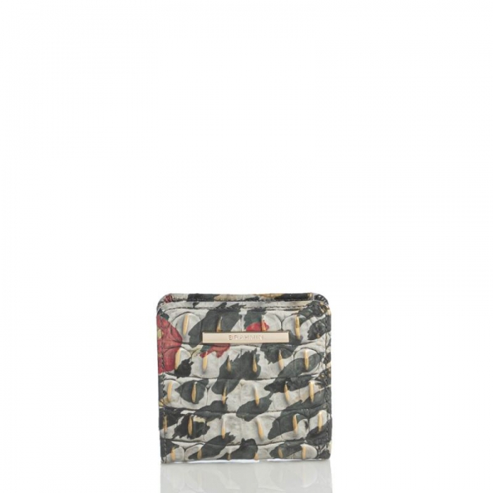 Brahmin | Women's Jane Adore Ombre Melbourne | Quick Ship!