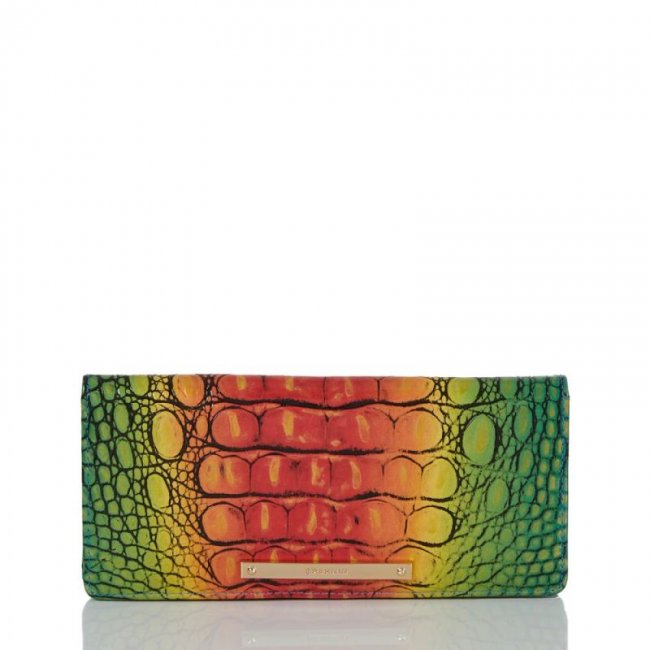Brahmin | Women's Ady Wallet Popsicle Ombre Melbourne | Quick Ship!