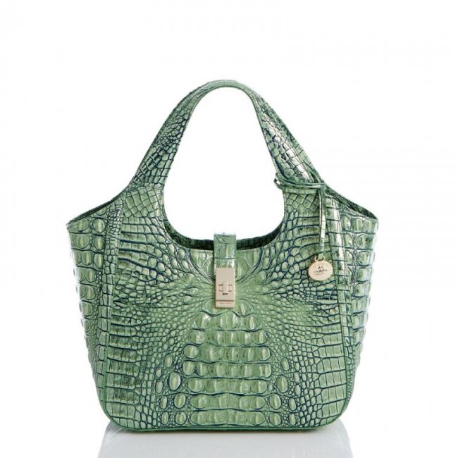Brahmin | Women's Small Carla Agave Melbourne | Quick Ship!
