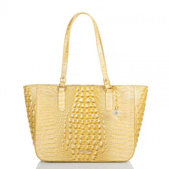 Brahmin | Women's Ashlee Butter Melbourne | Quick Ship!