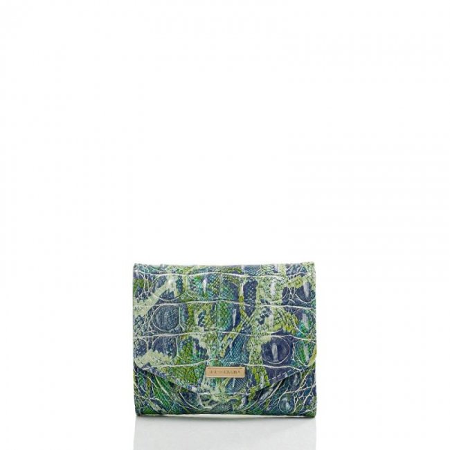 Brahmin | Women's Small Veronica Green Viper Melbourne | Quick Ship!