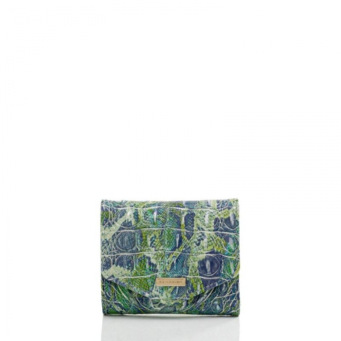 Brahmin | Women's Small Veronica Green Viper Melbourne | Quick Ship!