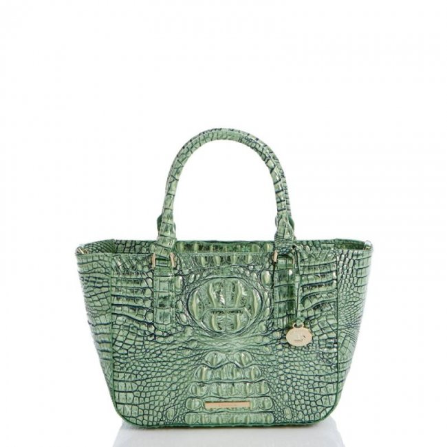 Brahmin | Women's Small Ashlee Agave Melbourne | Quick Ship!
