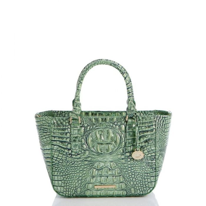 Brahmin | Women's Small Ashlee Agave Melbourne | Quick Ship!