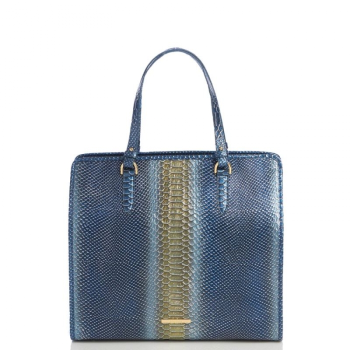 Brahmin | Women's Tia Serenity Meridian | Quick Ship!