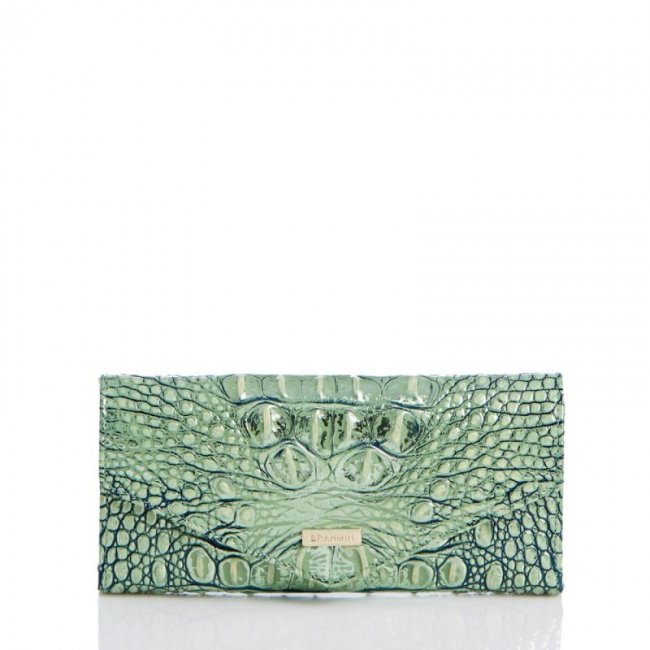 Brahmin | Women's Veronica Agave Melbourne | Quick Ship!