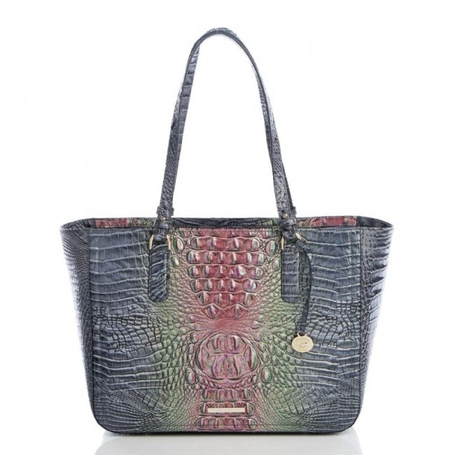 Brahmin | Women's Ashlee Radiance Ombre Melbourne | Quick Ship!