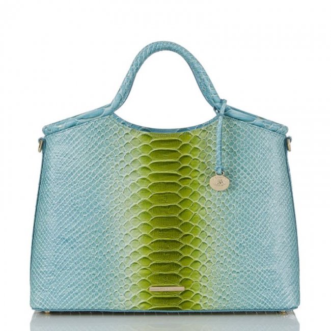 Brahmin | Women's Elaine Limeade Rivers | Quick Ship!