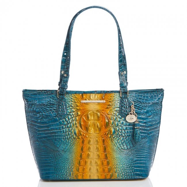 Brahmin | Women's Medium Asher Bermuda Ombre Melbourne | Quick Ship!