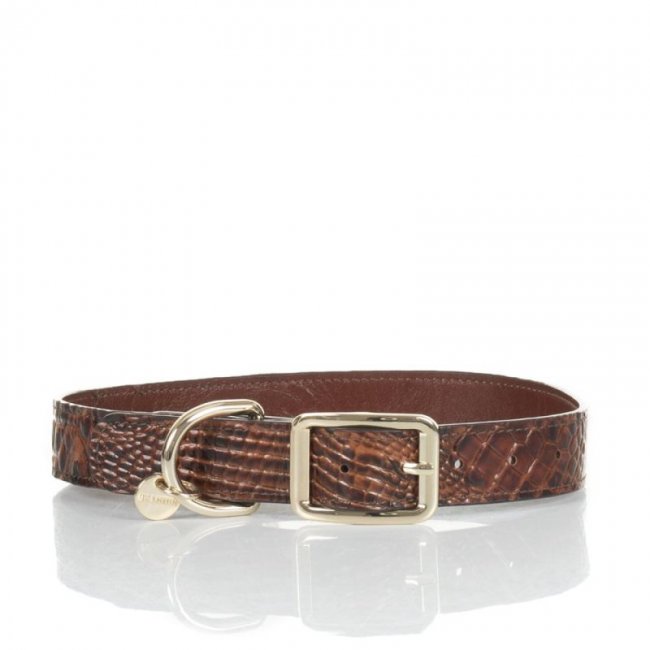 Brahmin | Women's Large Brown Leather Dog Collar | Pecan Melbourne | Quick Ship!