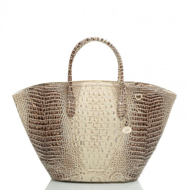 Brahmin | Women's Mira Ginger Ombre Melbourne | Quick Ship!