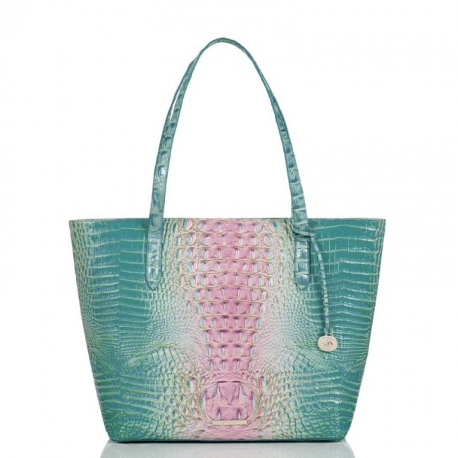 Brahmin | Women's Brooke Cotton Candy Ombre Melbourne | Quick Ship!