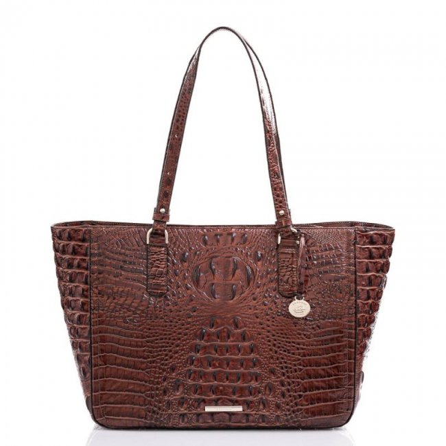 Brahmin | Women's Ashlee Pecan Melbourne | Quick Ship!
