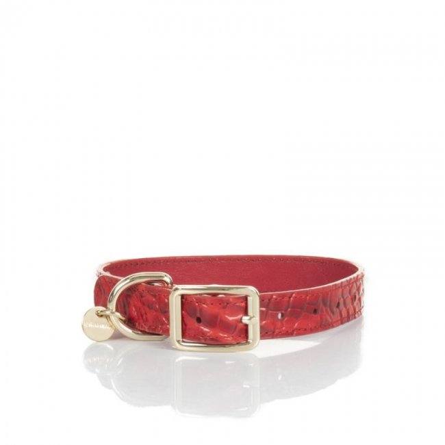 Brahmin | Women's Medium Pet Collar Carnation Melbourne | Quick Ship!