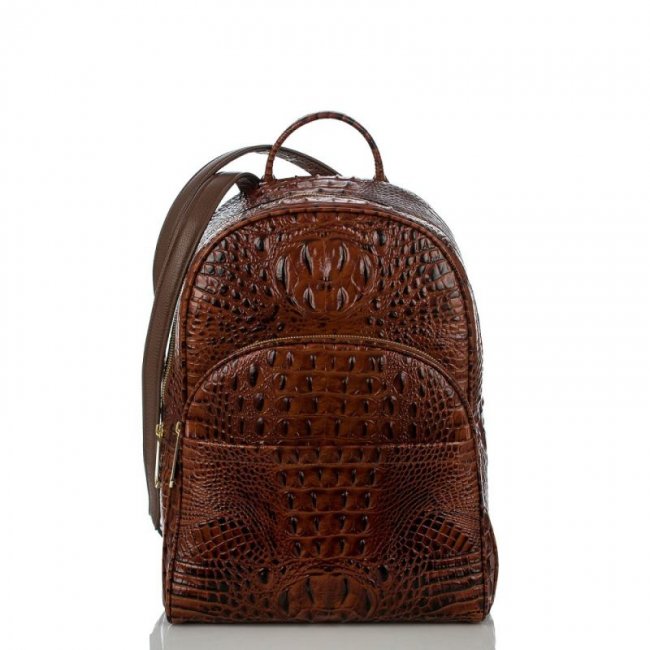Brahmin | Men's Dartmouth Backpack | Brown Leather Backpack | Quick Ship!