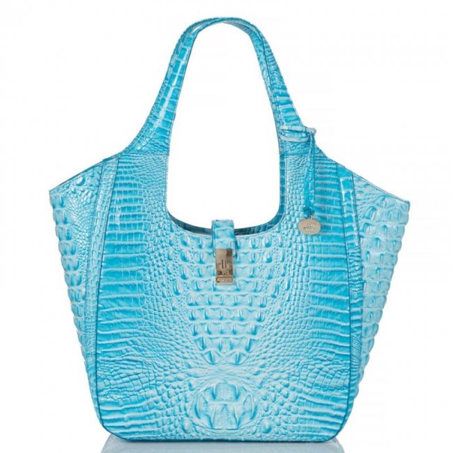Brahmin | Women's Carla Sky Melbourne | Quick Ship!
