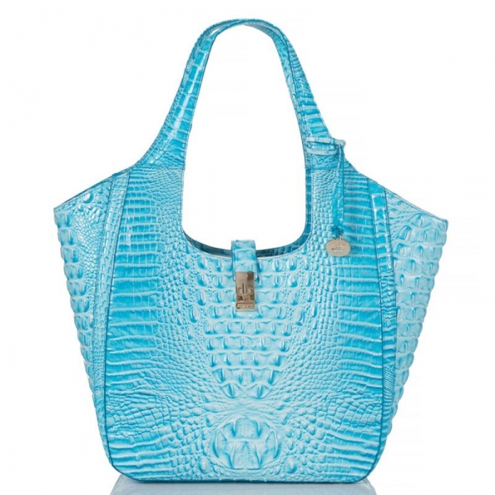 Brahmin | Women's Carla Sky Melbourne | Quick Ship!