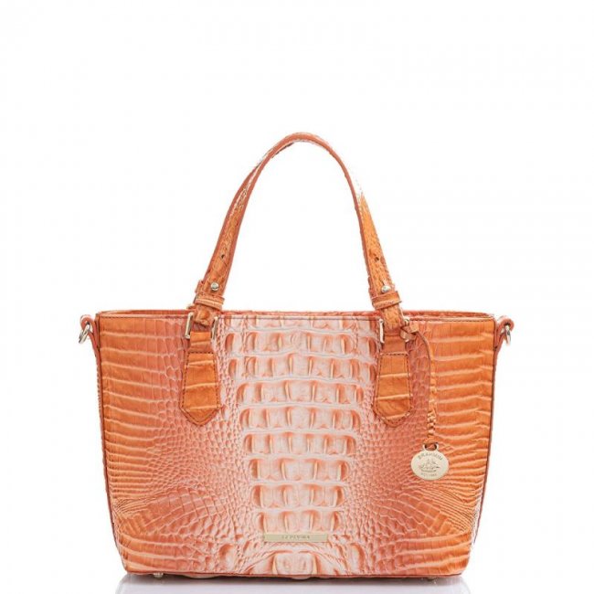 Brahmin | Women's Mini Misha Sherbert Ombre Melbourne | Quick Ship!
