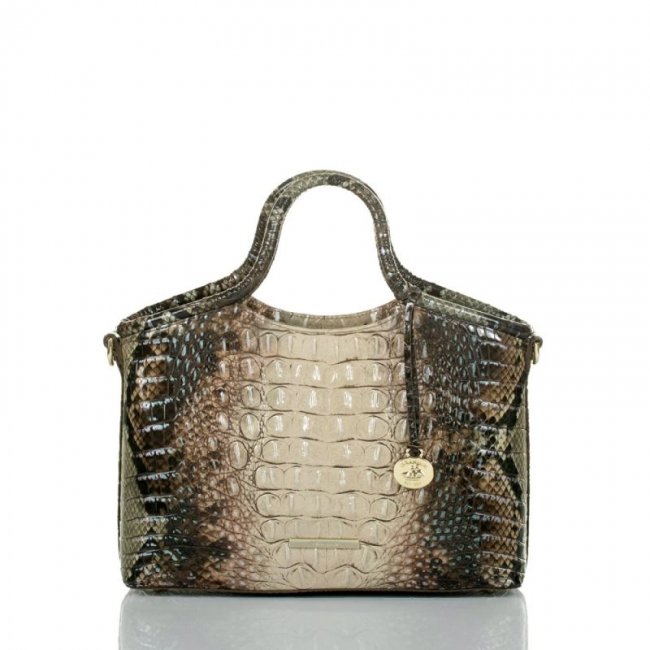 Brahmin | Women's Small Elaine Diamondback Ombre Melbourne | Quick Ship!