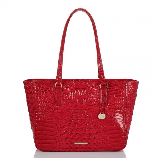 Brahmin | Women's Ashlee Carnation Melbourne | Quick Ship!