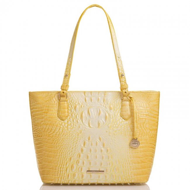 Brahmin | Women's Medium Misha Sunbeam Melbourne | Quick Ship!