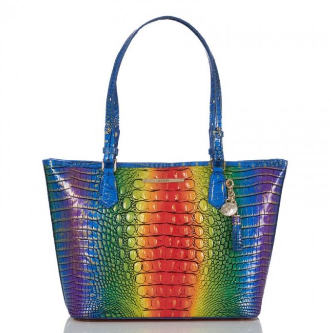 Brahmin | Women's Medium Asher Popsicle Ombre Melbourne | Quick Ship!