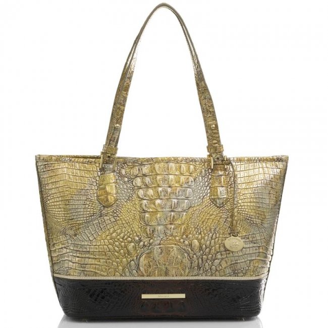 Brahmin | Women's Medium Asher Symphony Katla | Quick Ship!