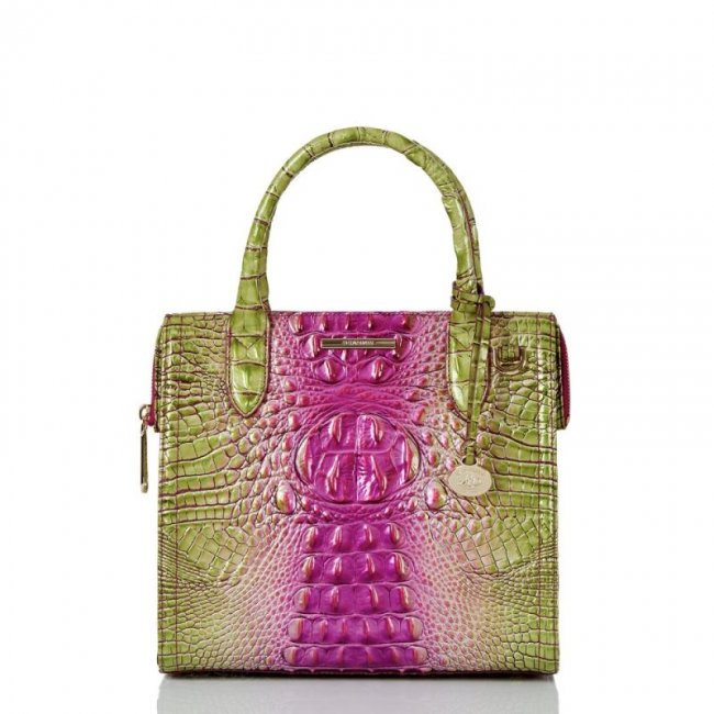 Brahmin | Women's Small Caroline Limeade Ombre Melbourne | Quick Ship!