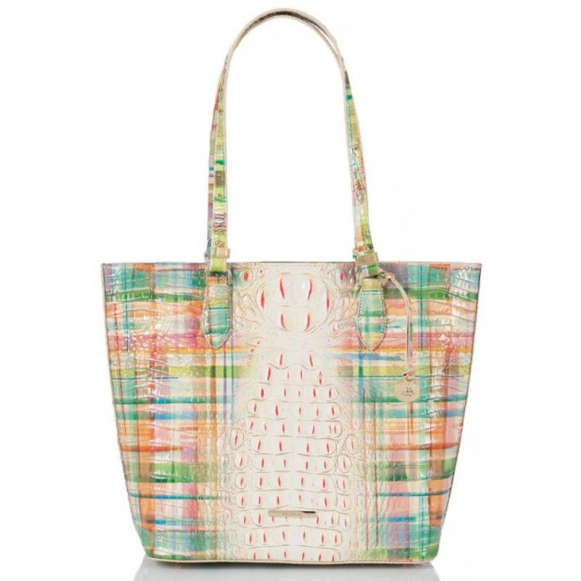 Brahmin | Women's Ellen Sweet Tea Ombre Melbourne | Quick Ship!