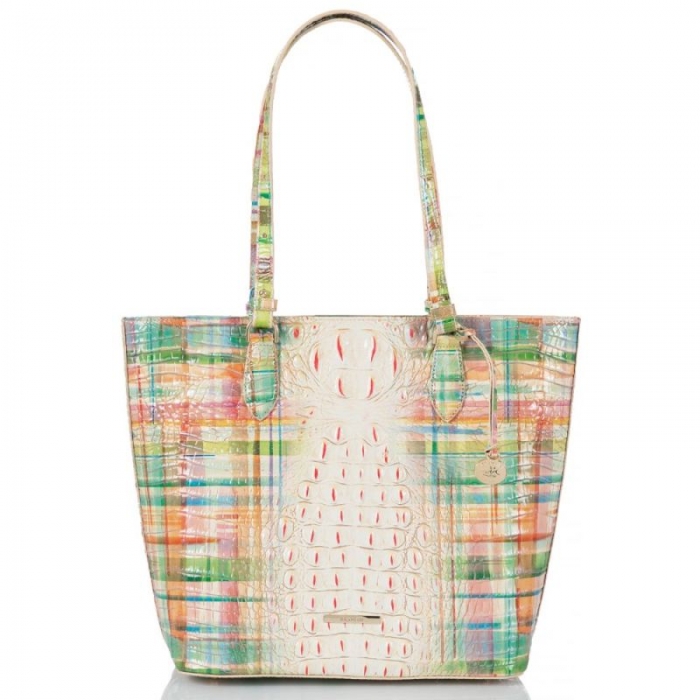 Brahmin | Women's Ellen Sweet Tea Ombre Melbourne | Quick Ship!