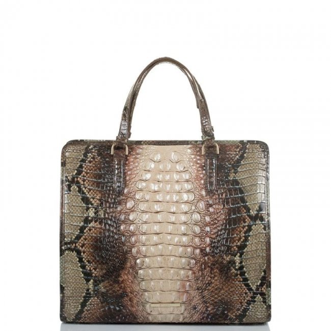 Brahmin | Women's Tia Diamondback Ombre Melbourne | Quick Ship!