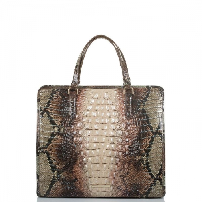 Brahmin | Women's Tia Diamondback Ombre Melbourne | Quick Ship!