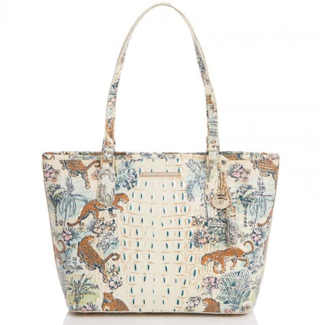 Brahmin | Women's Medium Asher Souvenir Ombre Melbourne | Quick Ship!