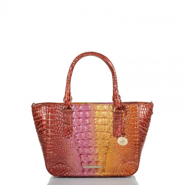 Brahmin | Women's Small Ashlee Glam Ombre Melbourne | Quick Ship!