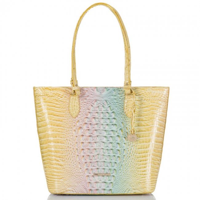 Brahmin | Women's Ellen Daybreak Ombre Melbourne | Quick Ship!