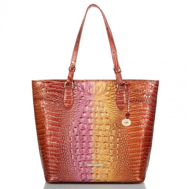 Brahmin | Women's Ellen Glam Ombre Melbourne | Quick Ship!