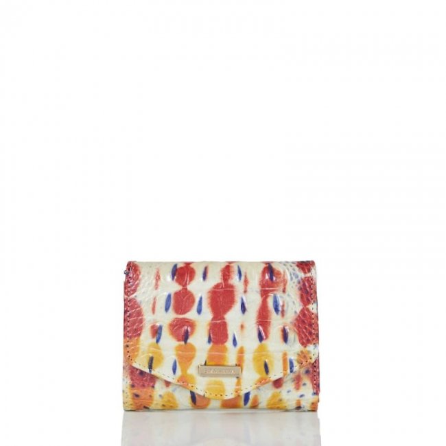 Brahmin | Women's Small Veronica Celebrate Melbourne | Quick Ship!