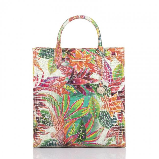 Brahmin | Women's Monique Utopia Melbourne | Quick Ship!