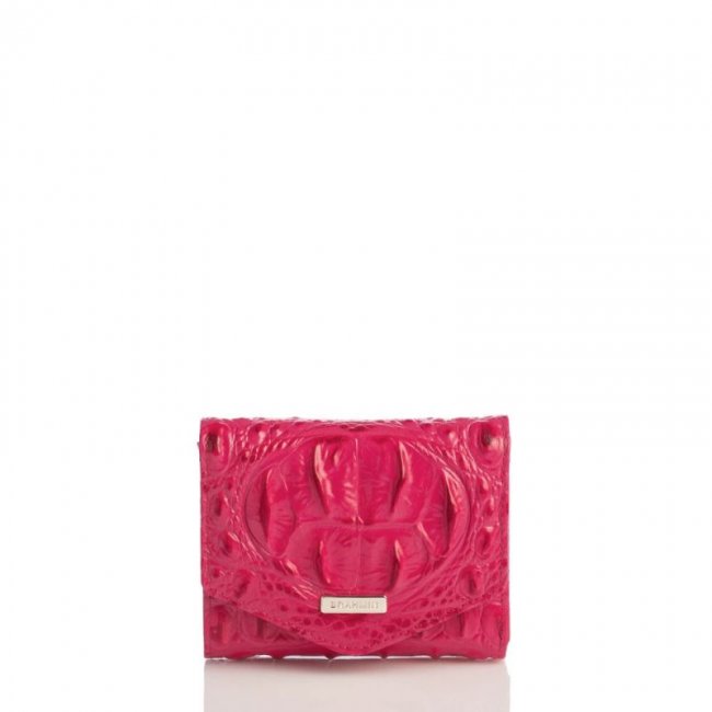 Brahmin | Women's Small Veronica Sweetheart Ombre Melbourne | Quick Ship!