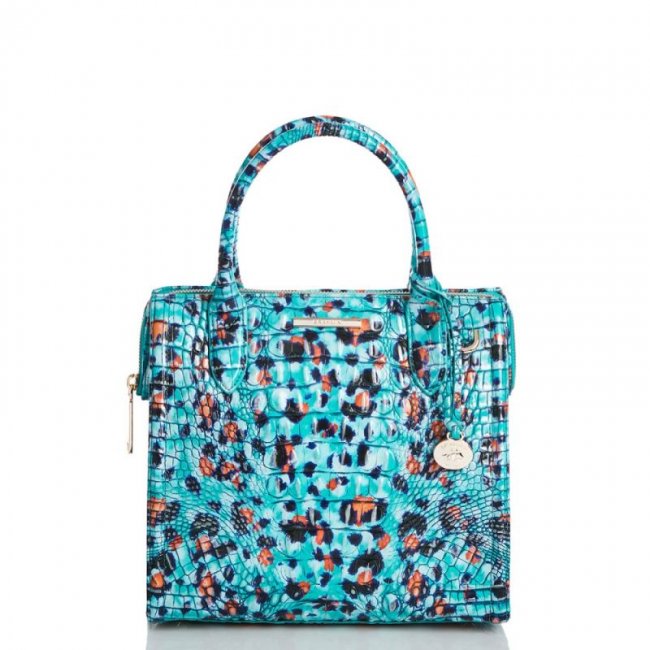 Brahmin | Women's Small Caroline Frisky Melbourne | Quick Ship!
