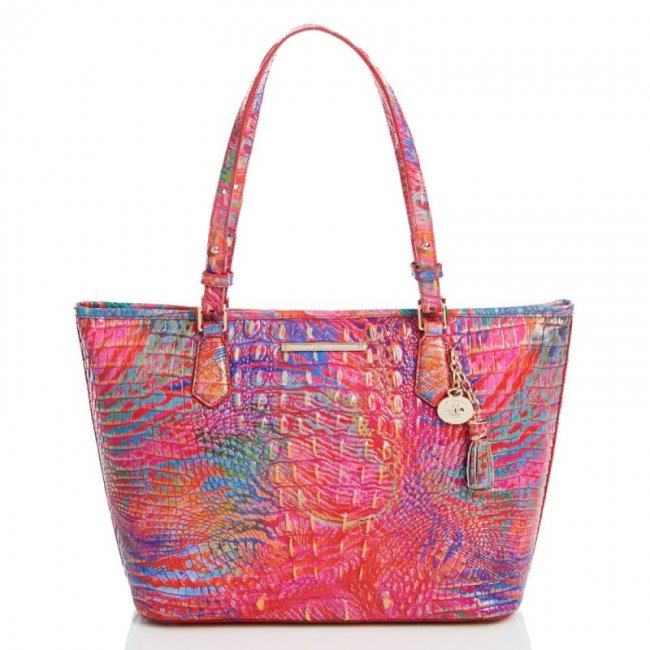 Brahmin | Women's Medium Asher Rainbow Fish Melbourne | Quick Ship!
